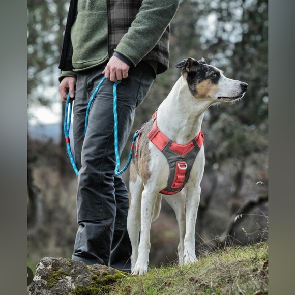 Kurgo Journey Harness For Dogs Grey/Red Vest Harnesses For Dogs Med NEW - Picture 2 of 6